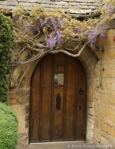 Arched Door And Wisteria